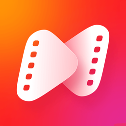 NetShort Logo